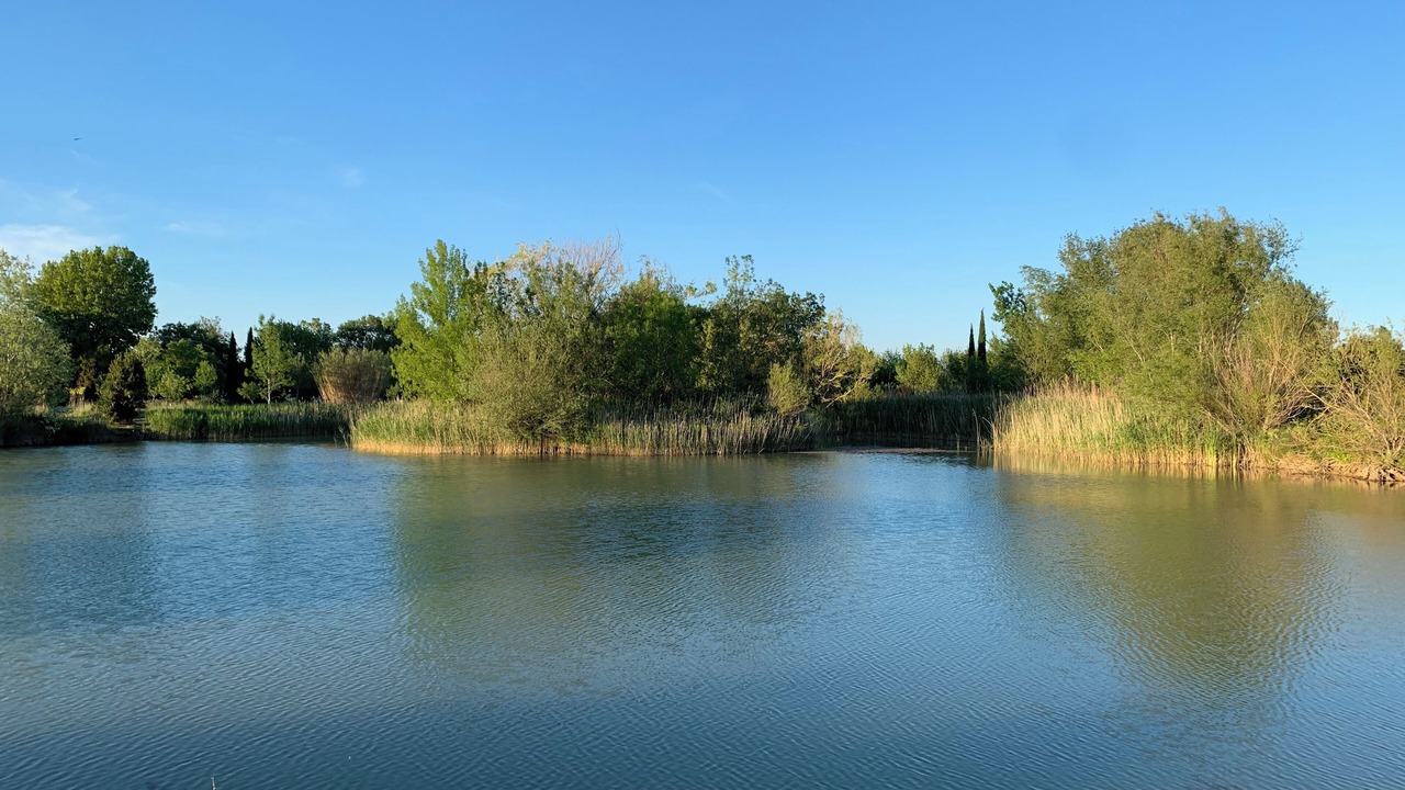 Photo of Others in Narbonne