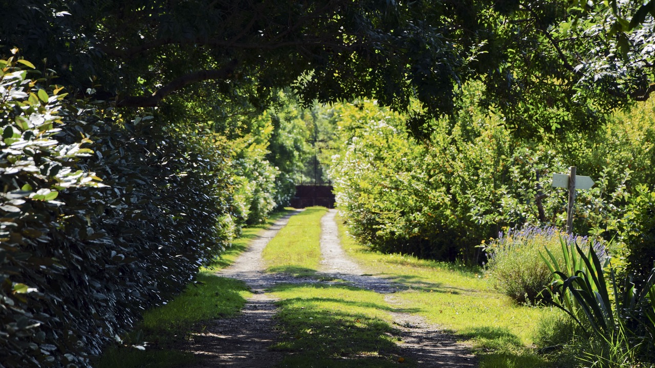 Photo of Outdoor in Narbonne