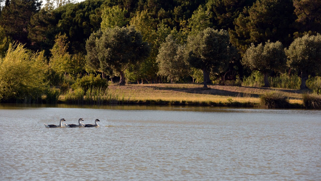 Photo of Outdoor in Narbonne