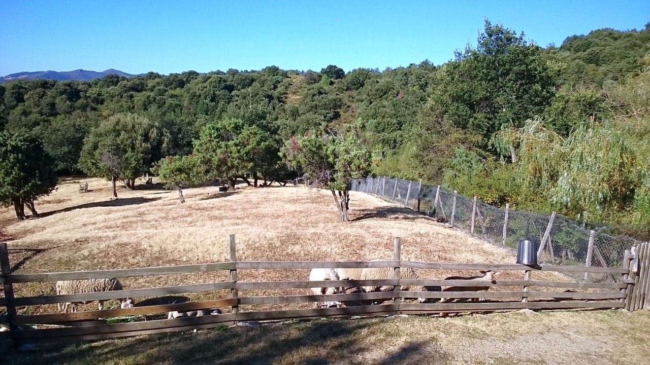 Photo of Outdoor in Gilhac-et-Bruzac