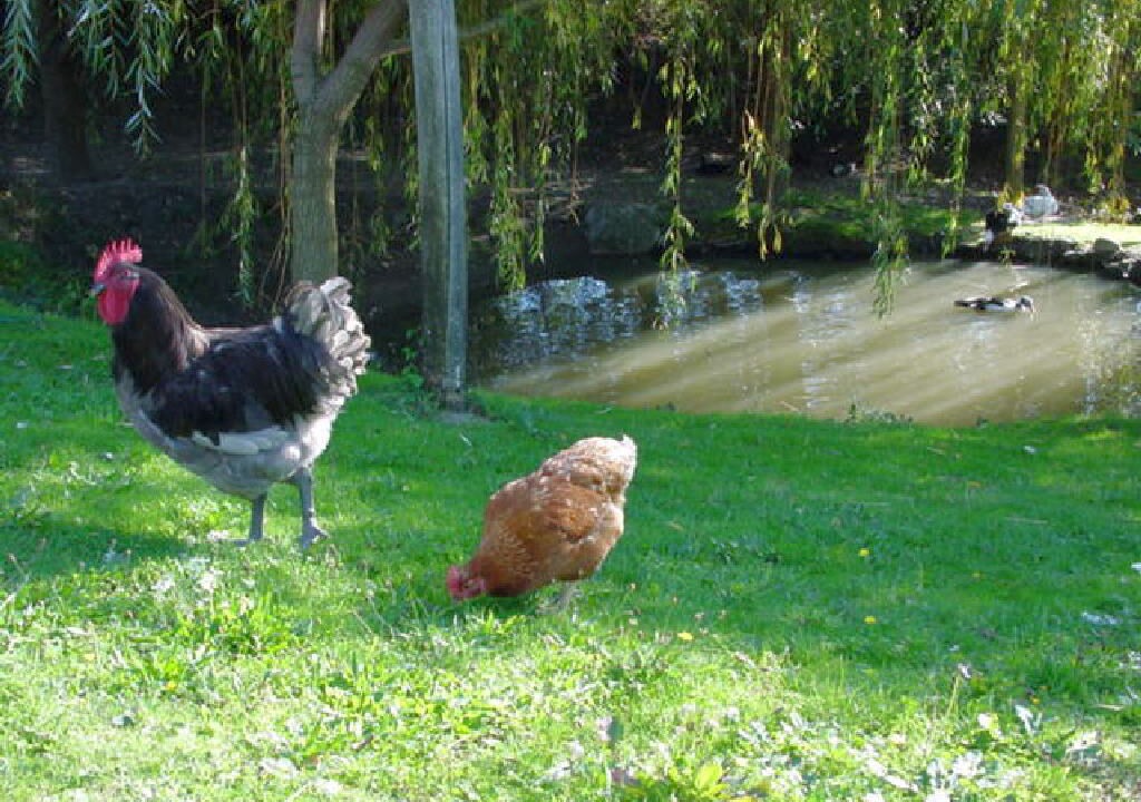 Photo of Outdoor in Gilhac-et-Bruzac