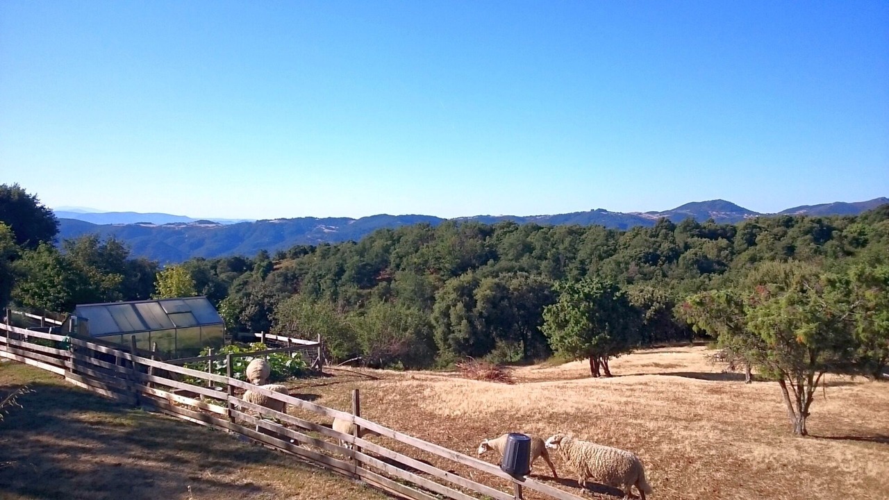Photo of Outdoor in Gilhac-et-Bruzac