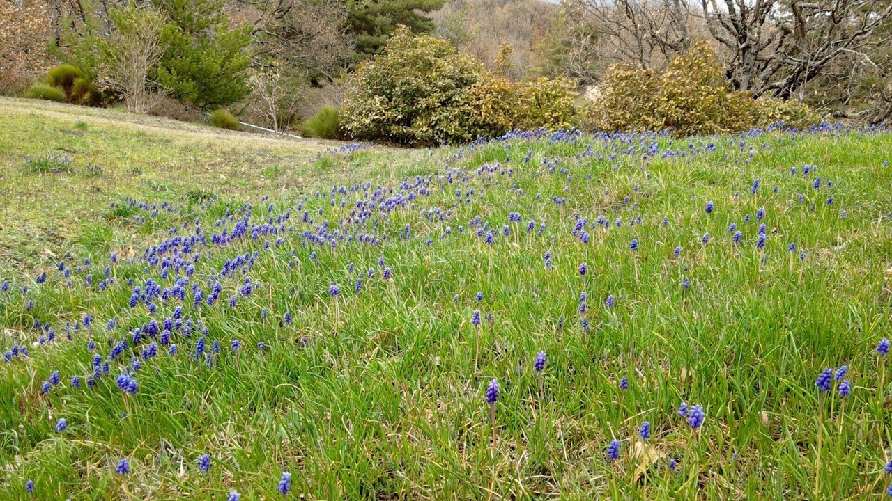 Photo of Outdoor in Gilhac-et-Bruzac