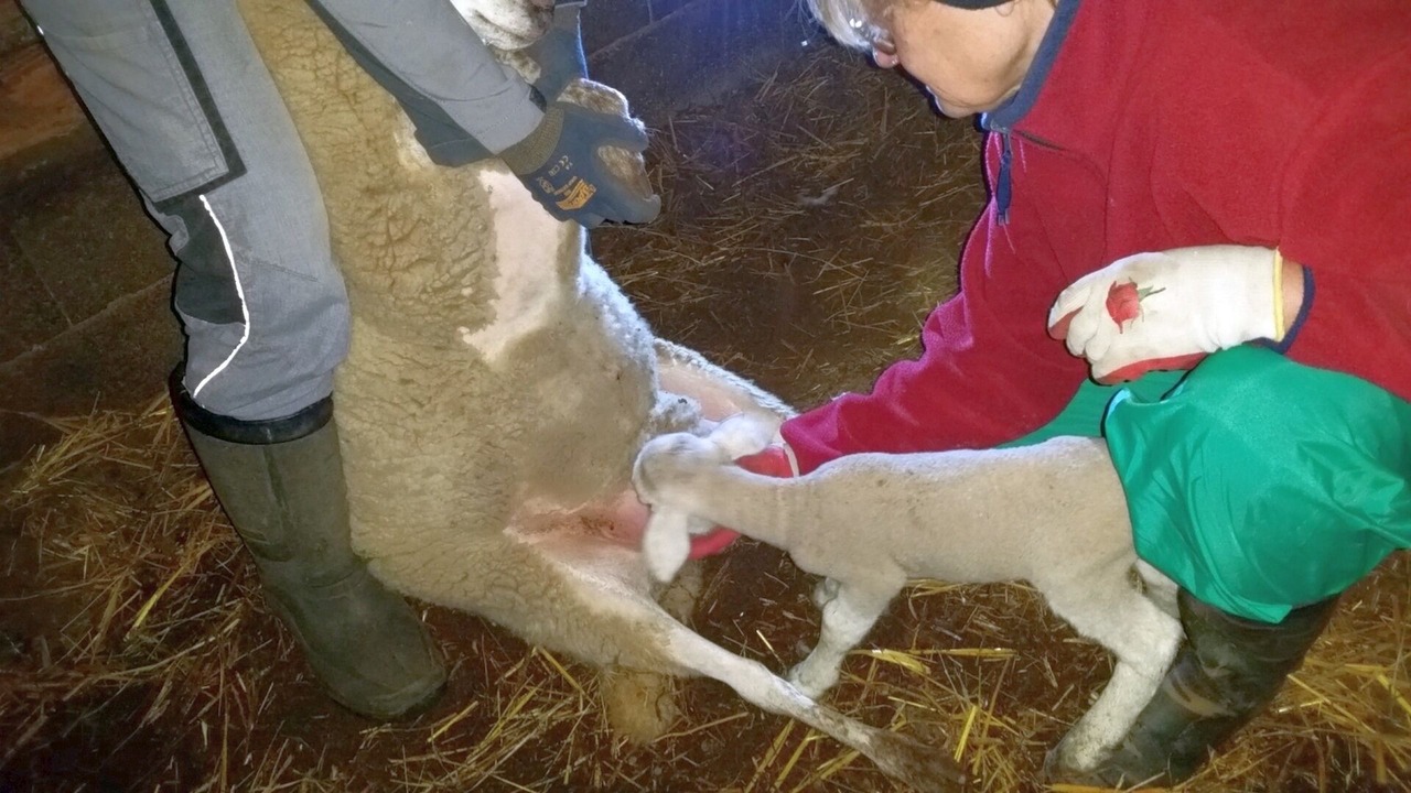 Photo of Others in Gilhac-et-Bruzac