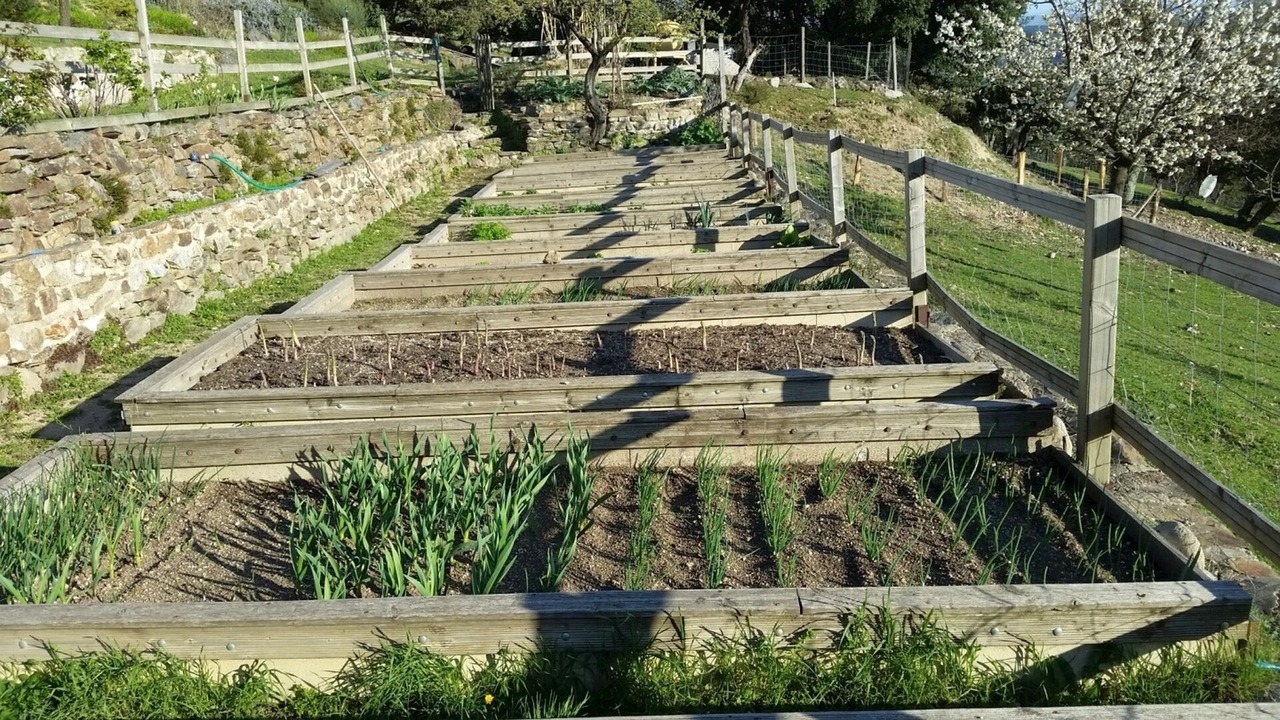 Photo of Outdoor in Gilhac-et-Bruzac