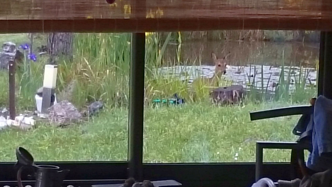 Photo of Others in Gilhac-et-Bruzac