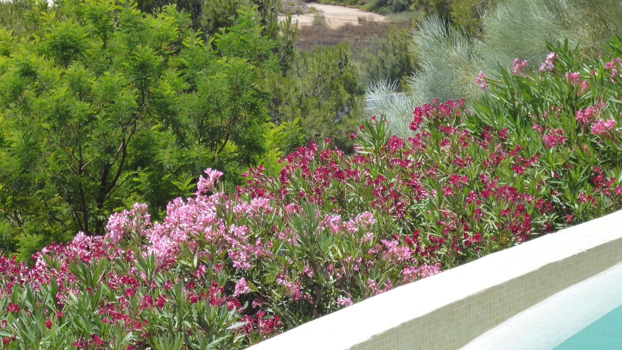 Photo of Outdoor in Port-la-Nouvelle