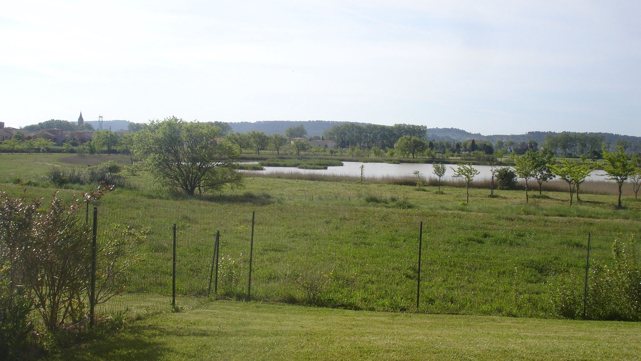 Photo of Outdoor in Homps
