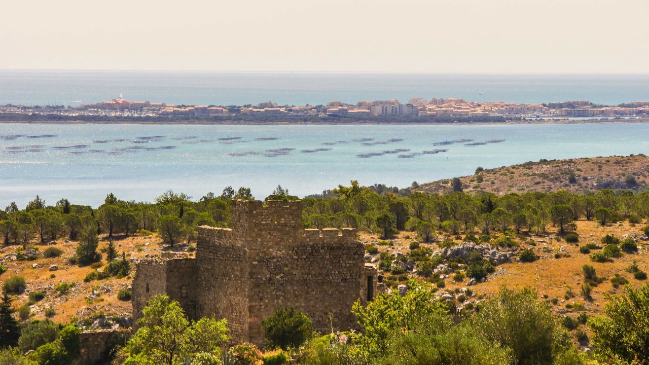 Photo of Others in Fitou
