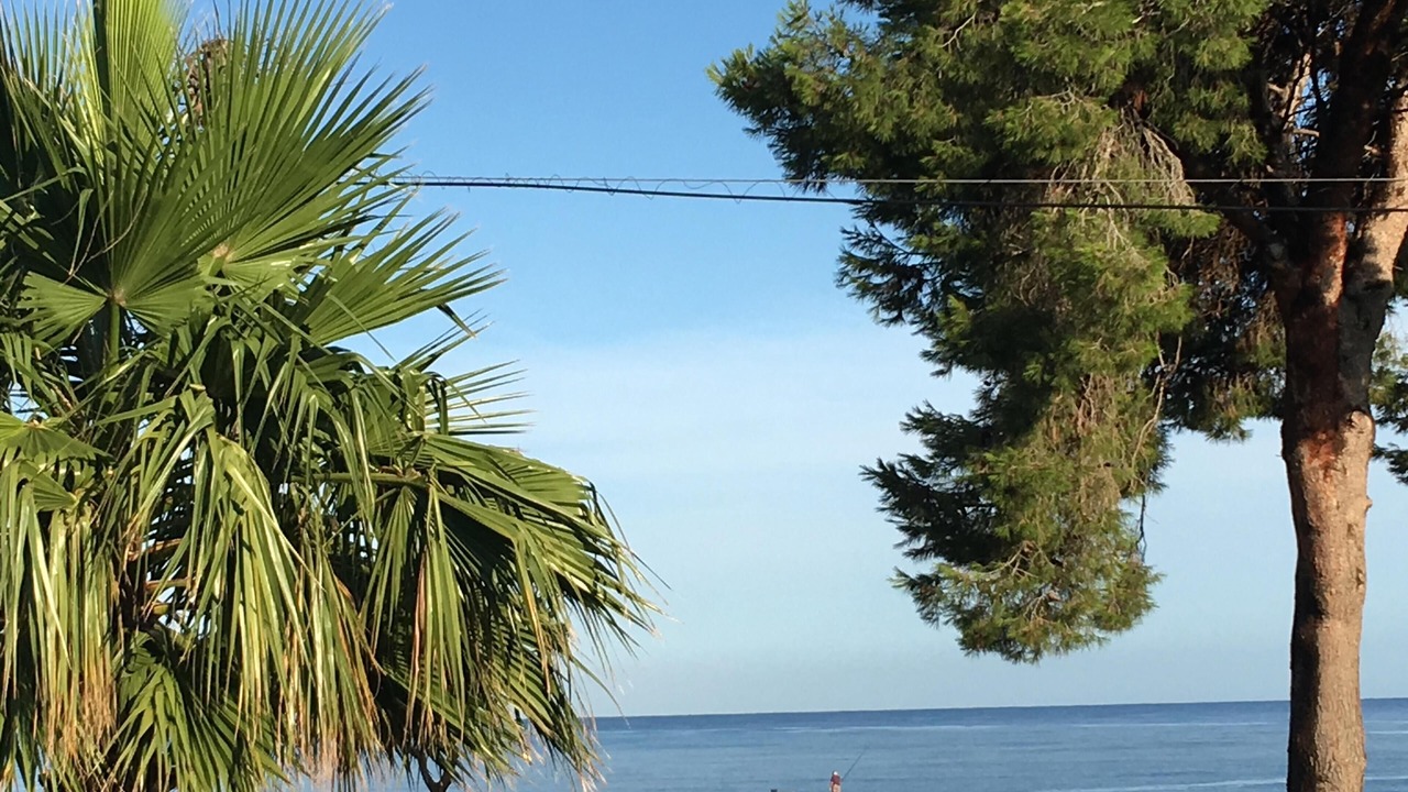 Photo of Others in Mont-roig Bahia