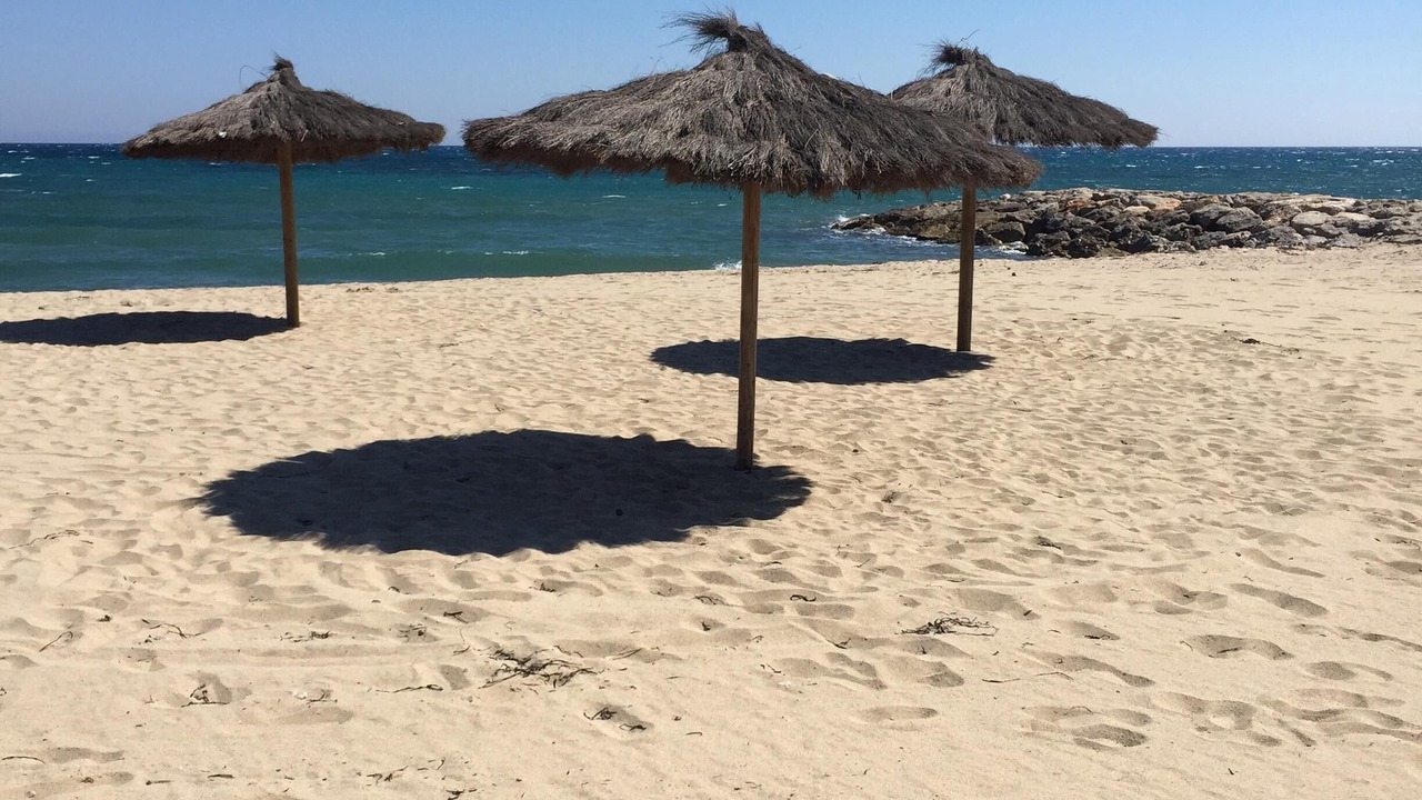Photo of Others in Mont-roig Bahia