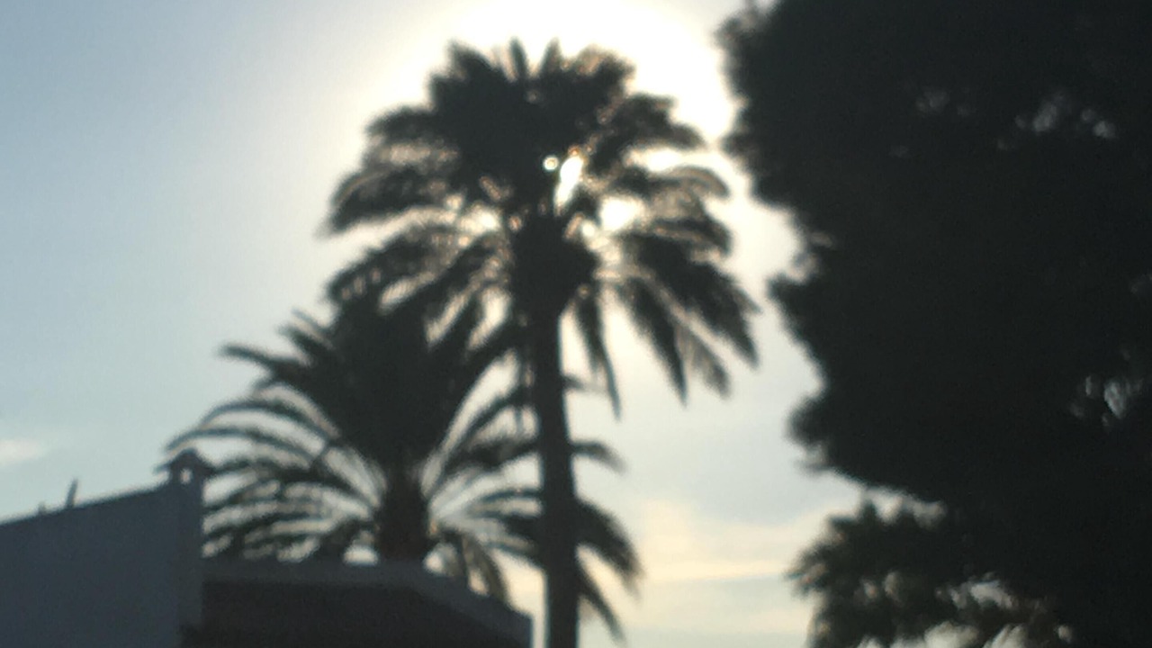 Photo of Others in Mont-roig Bahia
