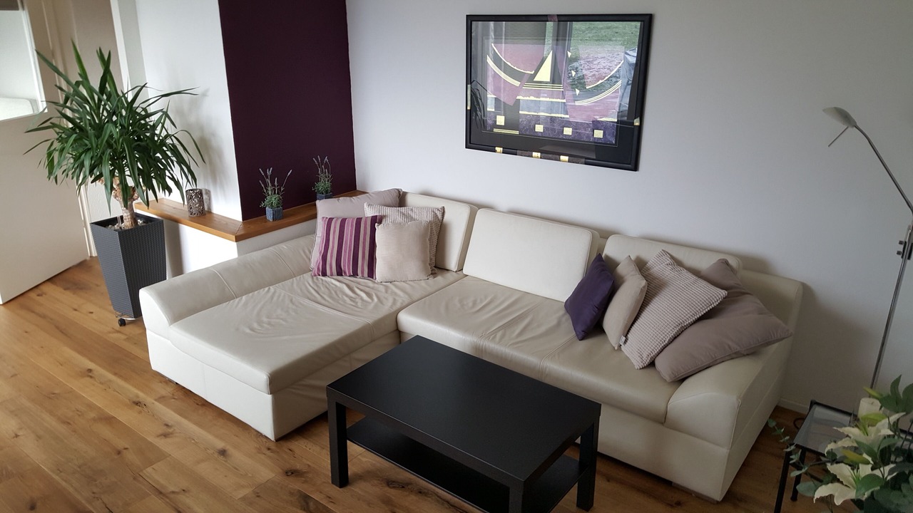Photo of Livingroom in Meilen District