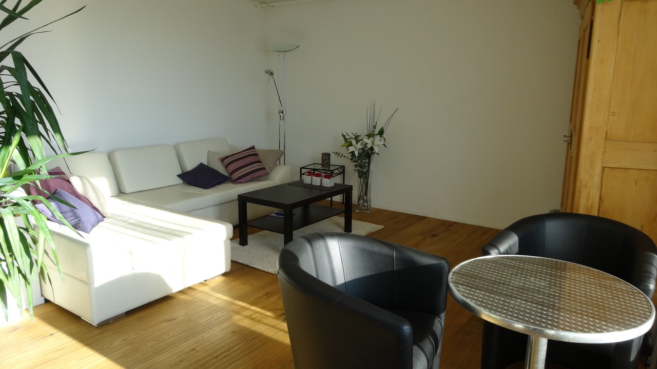 Photo of Livingroom in Meilen District