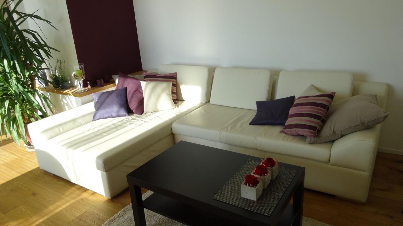 Photo of Livingroom in Meilen District