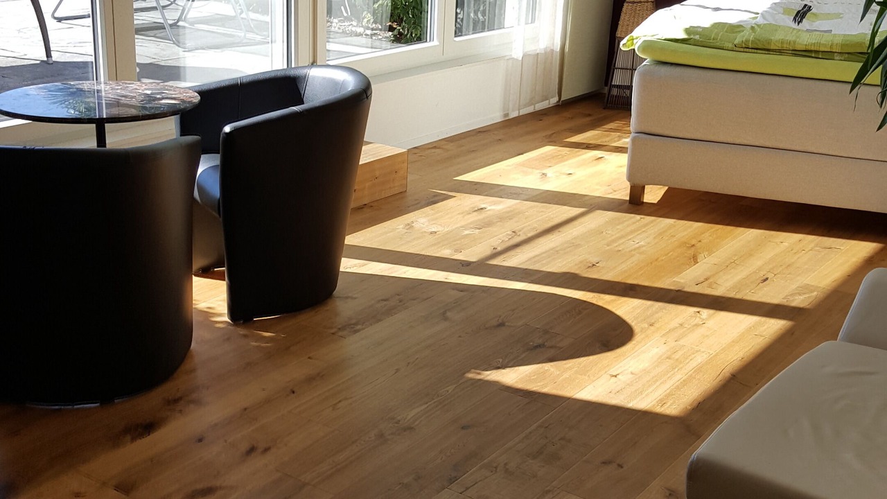 Photo of Bedroom in Meilen District