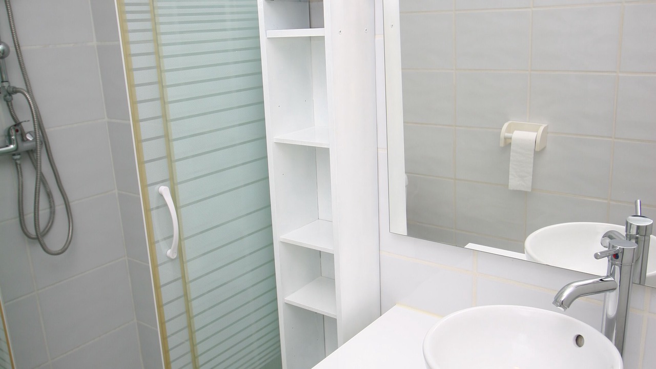 Photo of Bathroom in Le Barcares