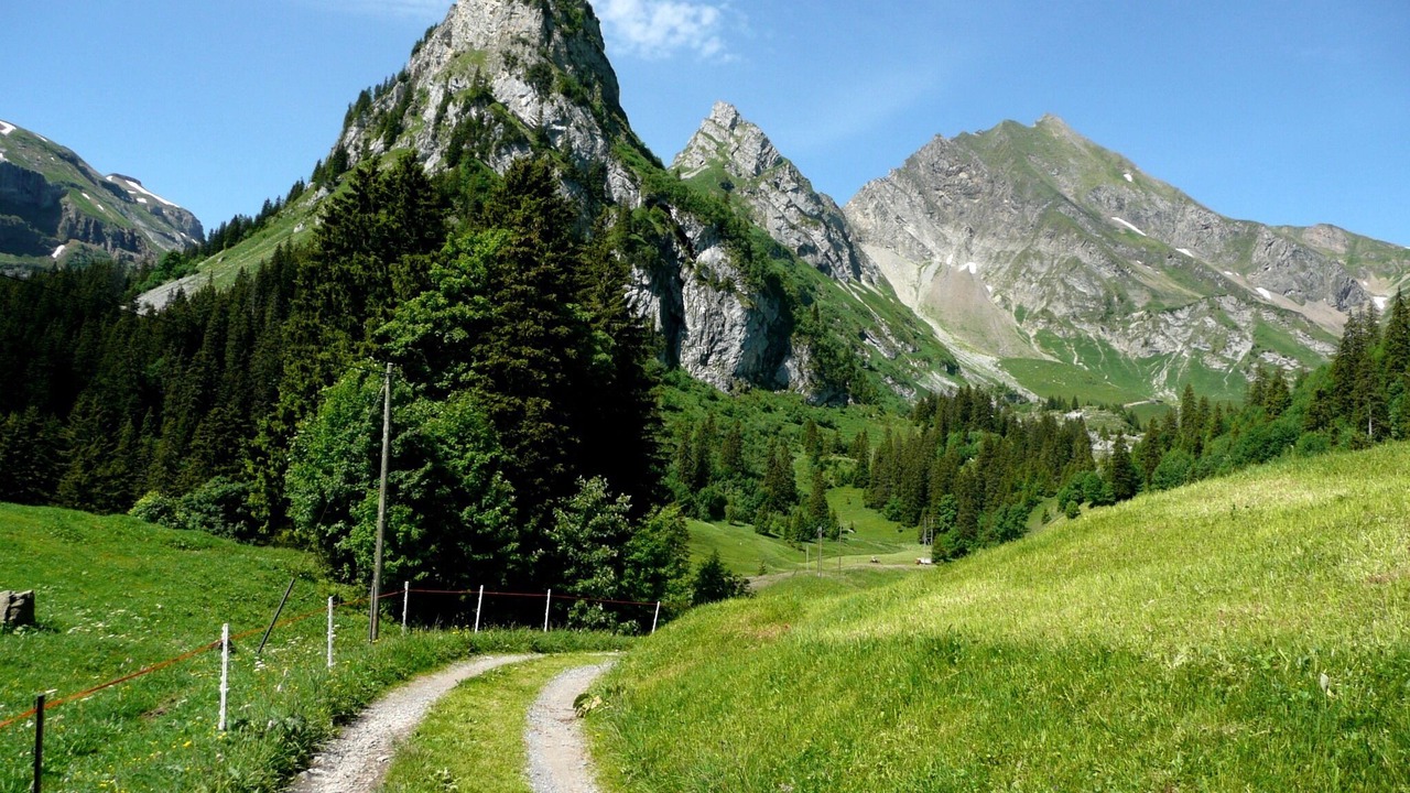 Photo of Outdoor in Isenthal