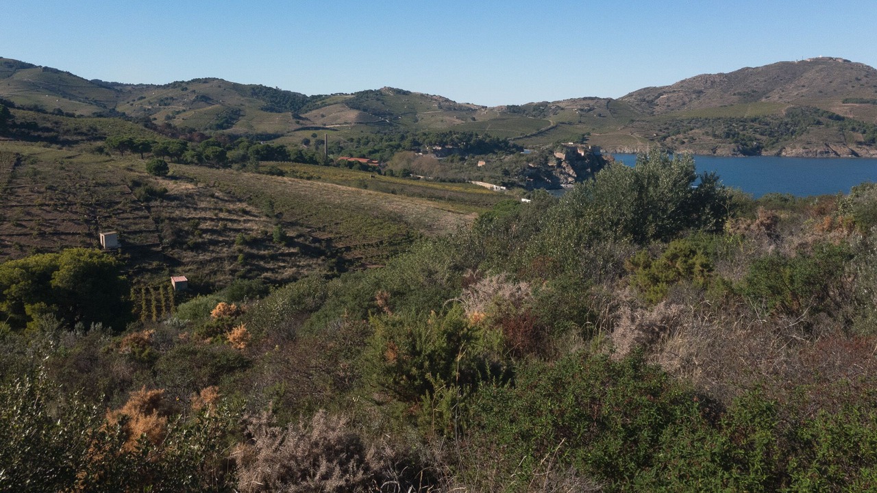 Photo of Outdoor in Maureillas-Las-Illas