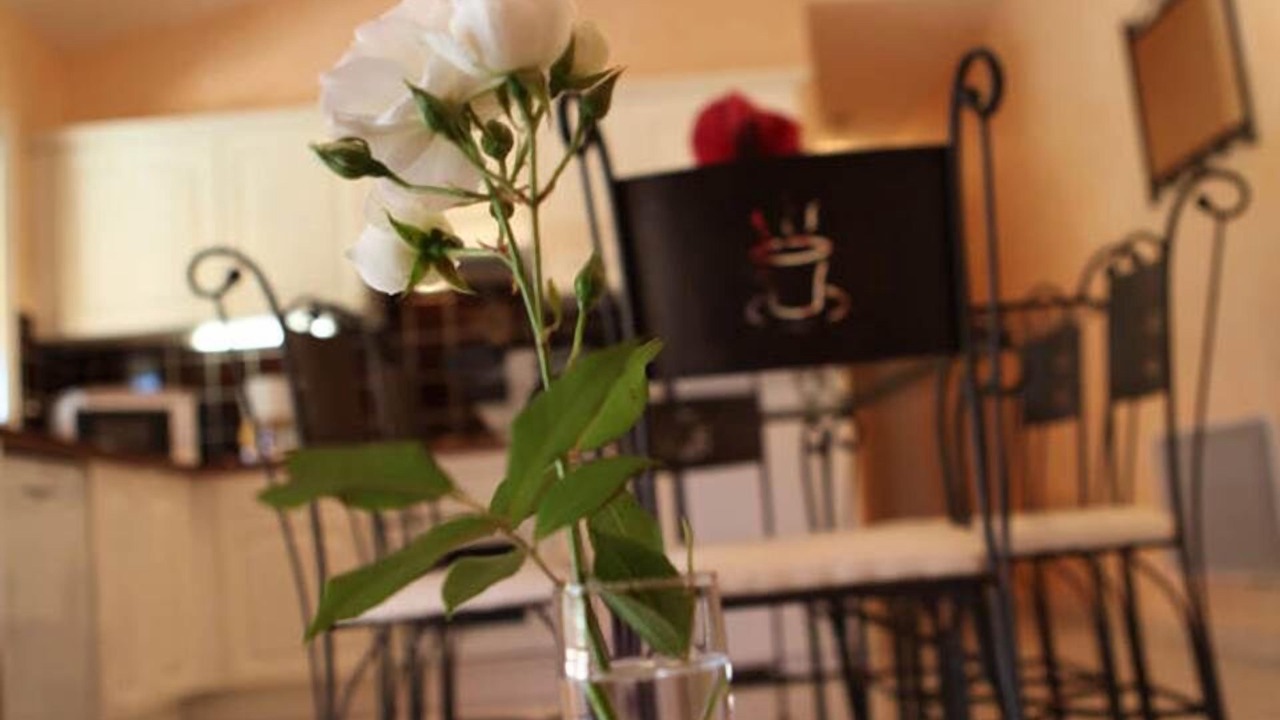 Photo of Others in Montreal