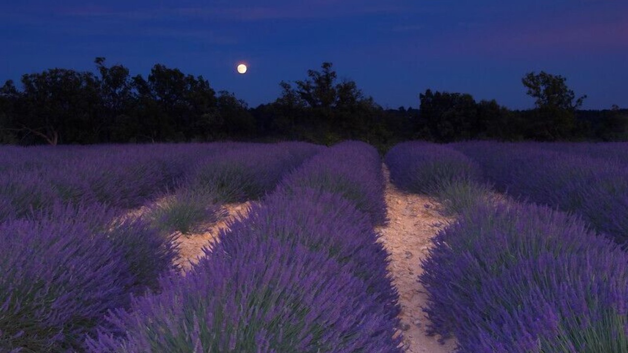 Photo of Outdoor in Camaret-sur-Aigues
