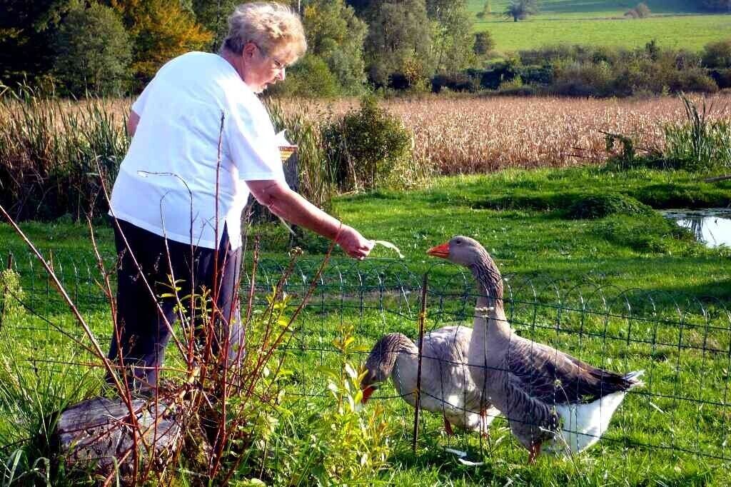 Photo of Outdoor in Sainte-Croix