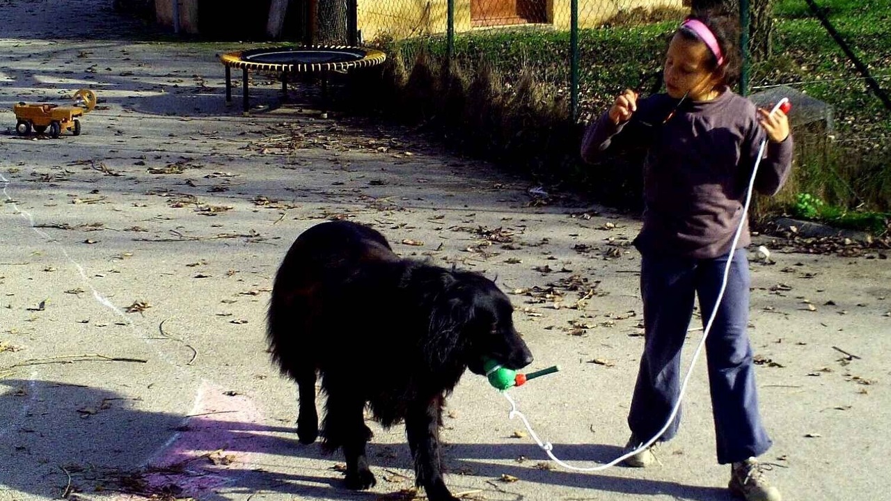 Photo of Outdoor in Sainte-Croix