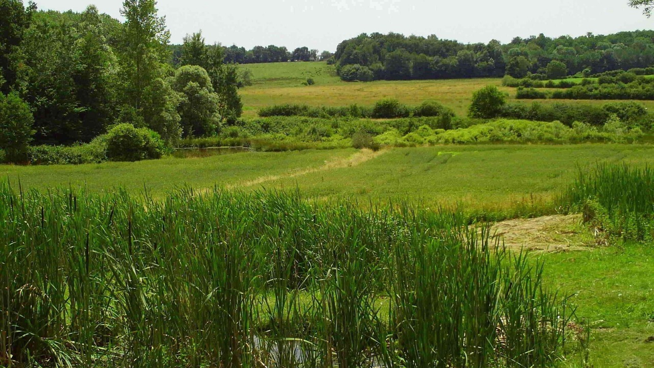 Photo of Others in Sainte-Croix