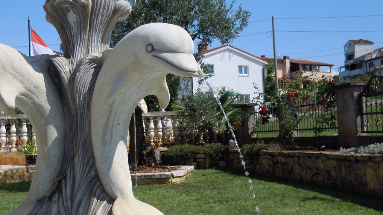 Photo of Outdoor in Gulici