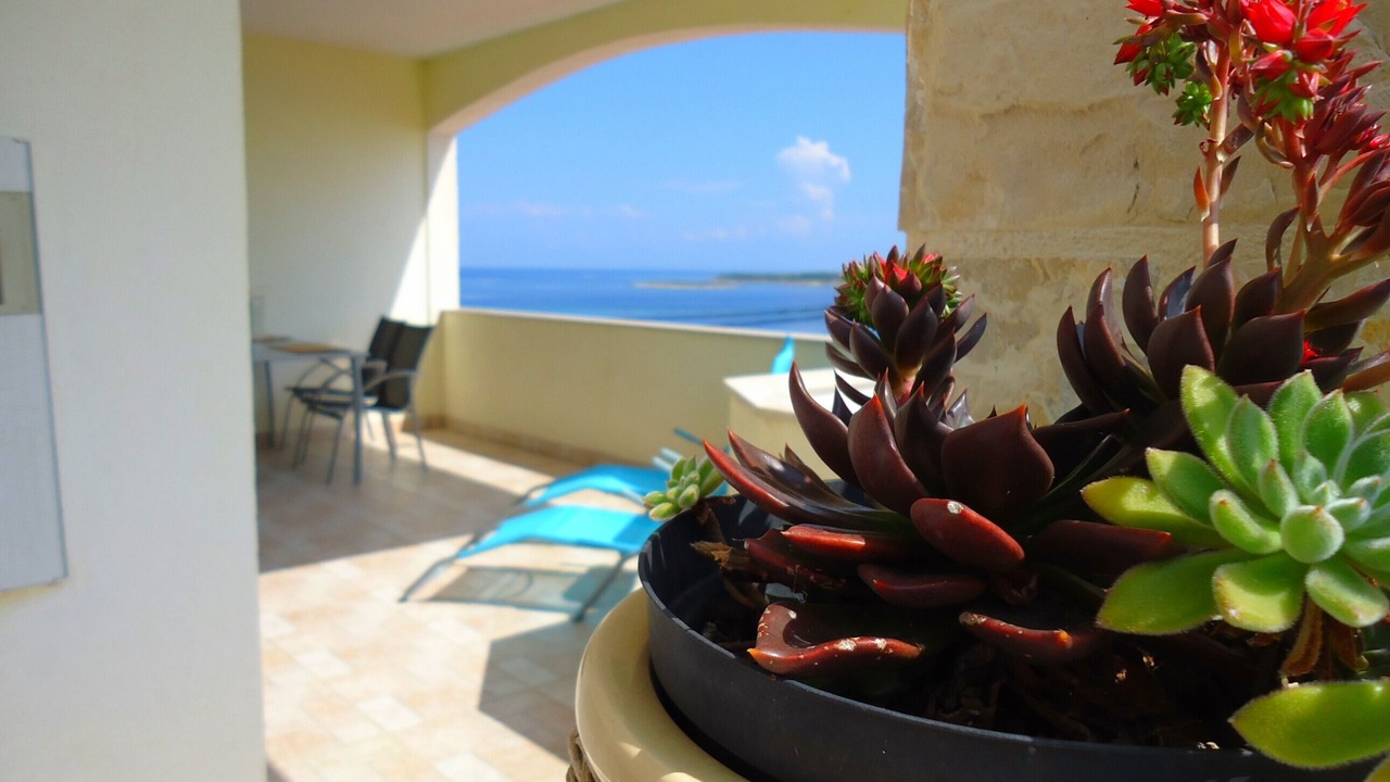 Photo of Patio Balcony in Zena Glava