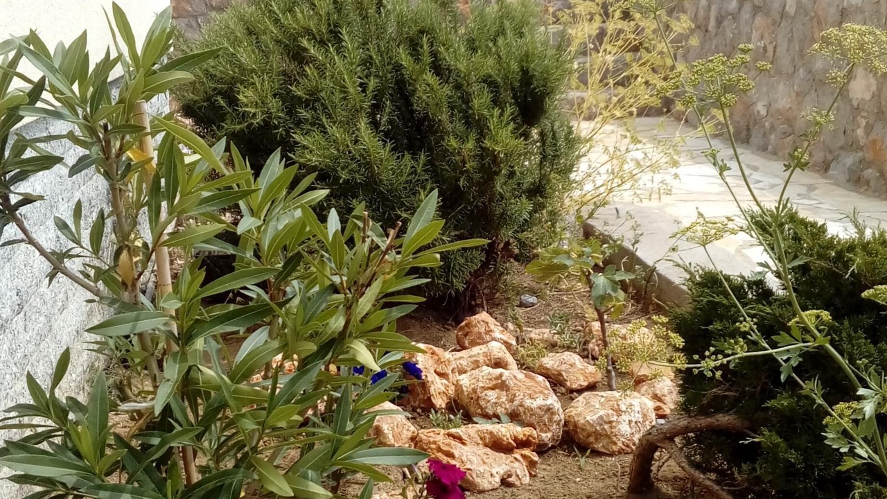 Photo of Outdoor in Cesarica