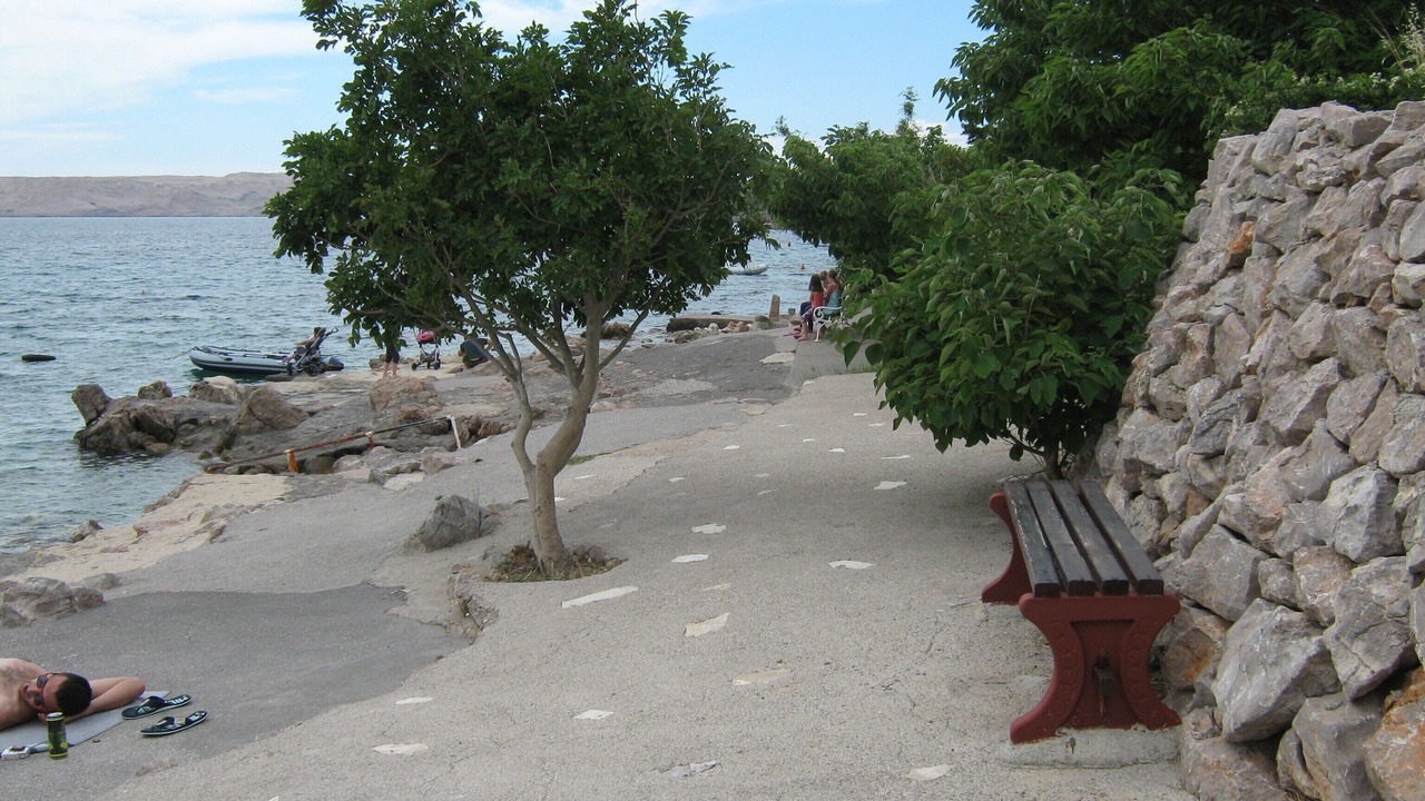 Photo of Outdoor in Cesarica