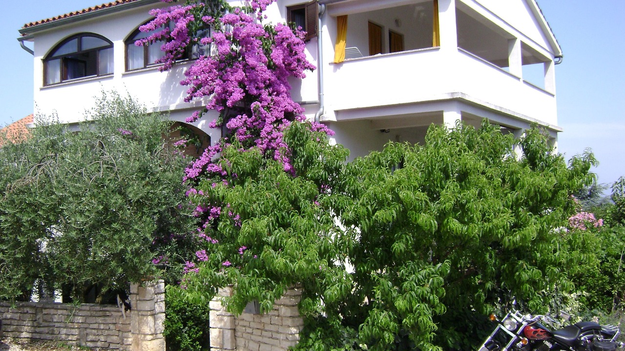Photo of Outdoor in Premantura