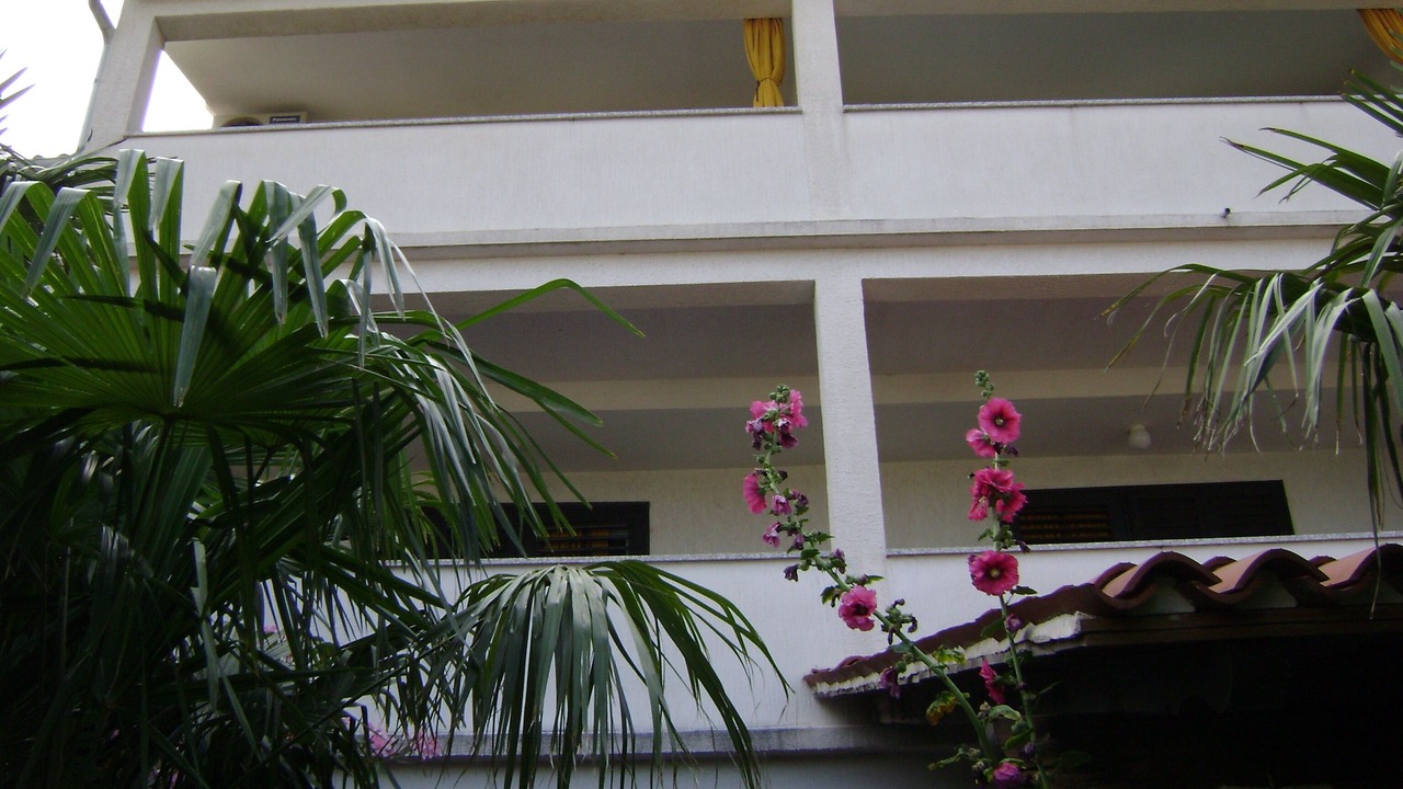 Photo of Outdoor in Premantura