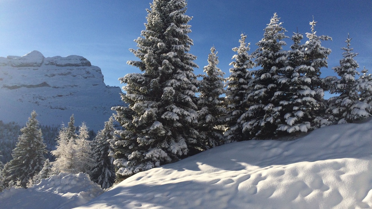 Photo of Others in Flaine