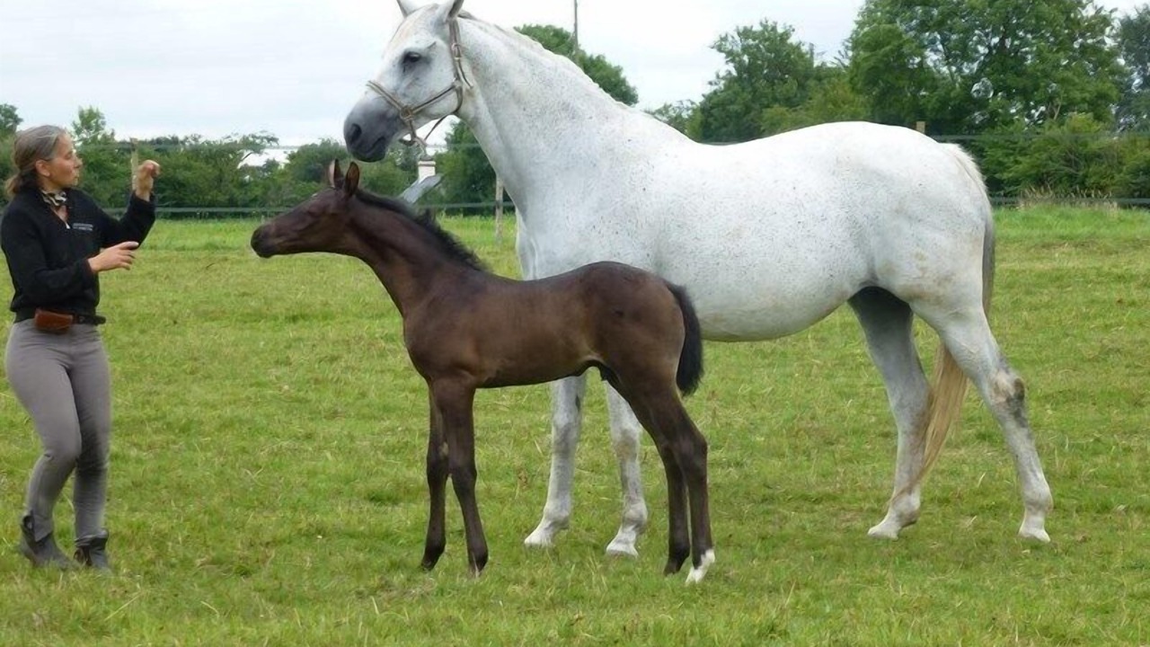 Photo of Outdoor in Bricqueville