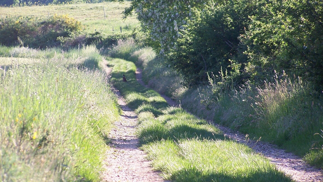 Photo of Outdoor in Le Moulin d'Encor