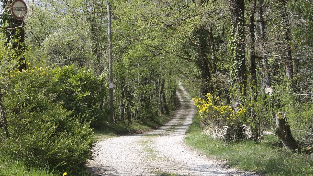 Photo of Outdoor in Sarrazac