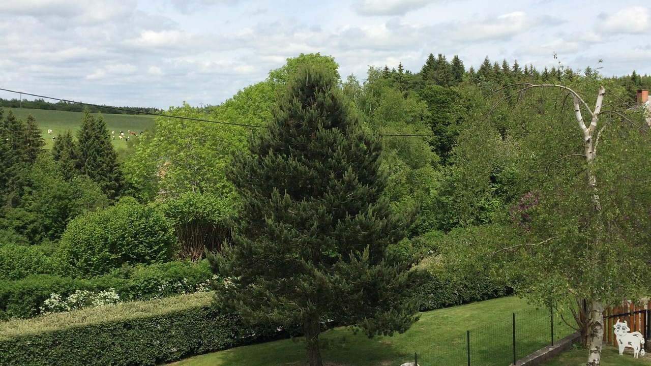 Photo of Outdoor in Saint-Julien-Puy-Laveze