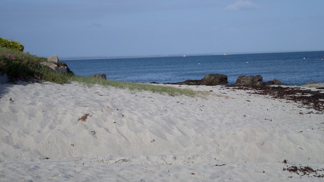 Photo of Others in Loctudy