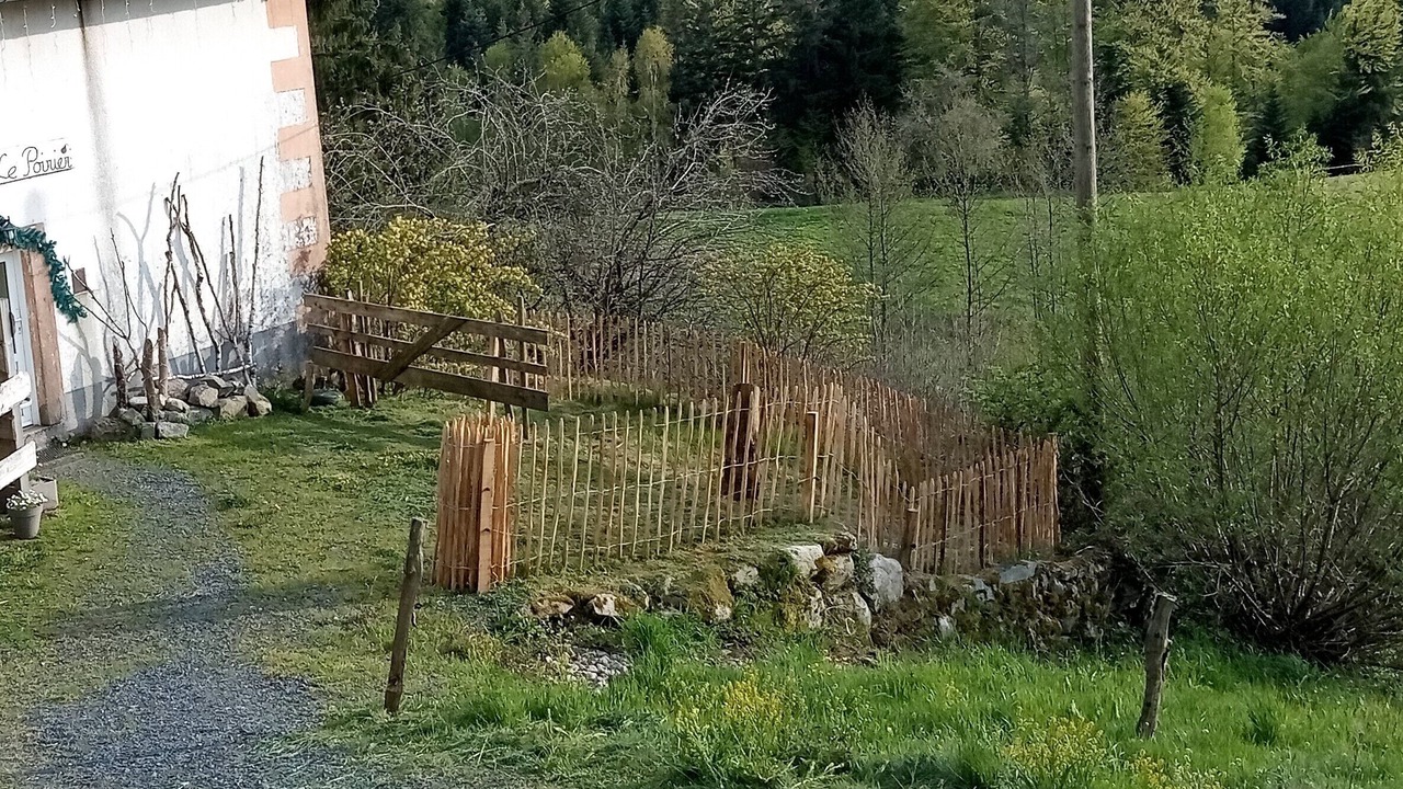 Photo of Outdoor in Le Tholy