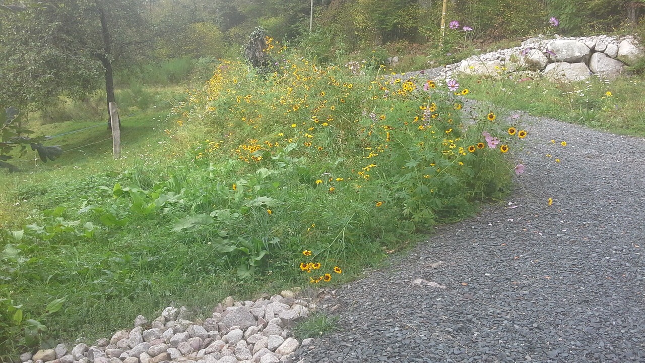 Photo of Outdoor in Le Tholy