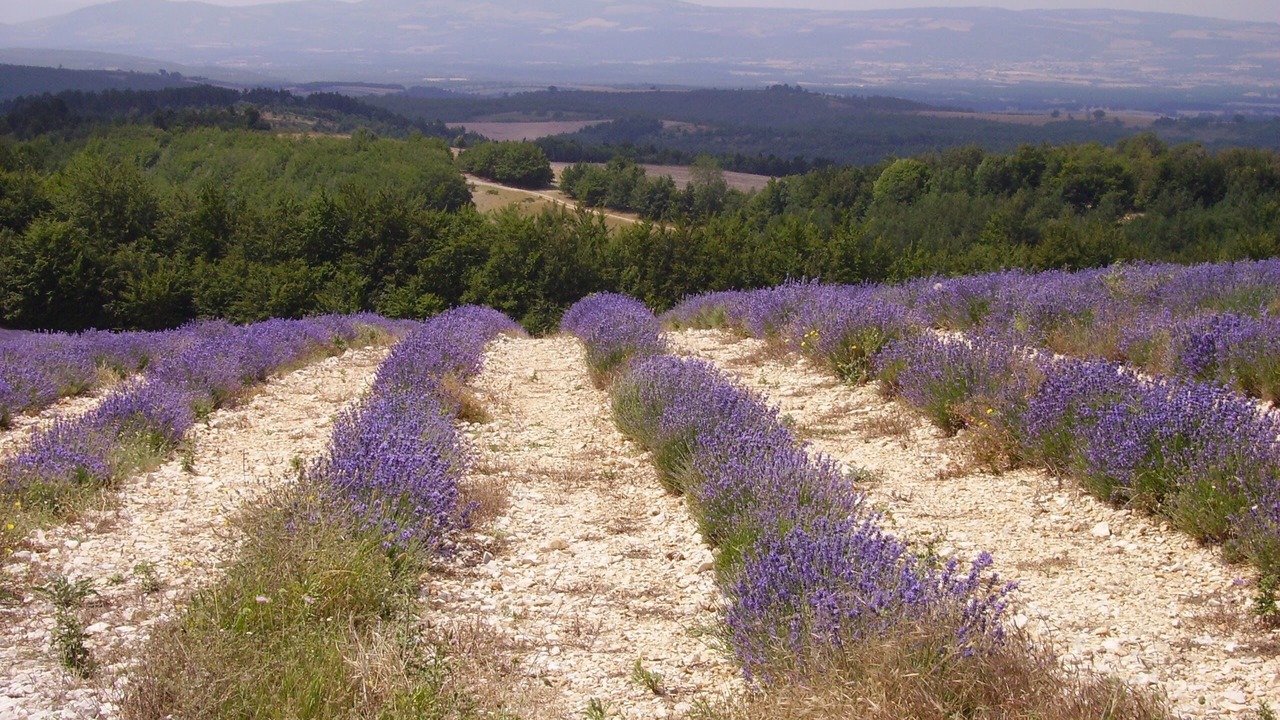 Photo of Outdoor in Manosque