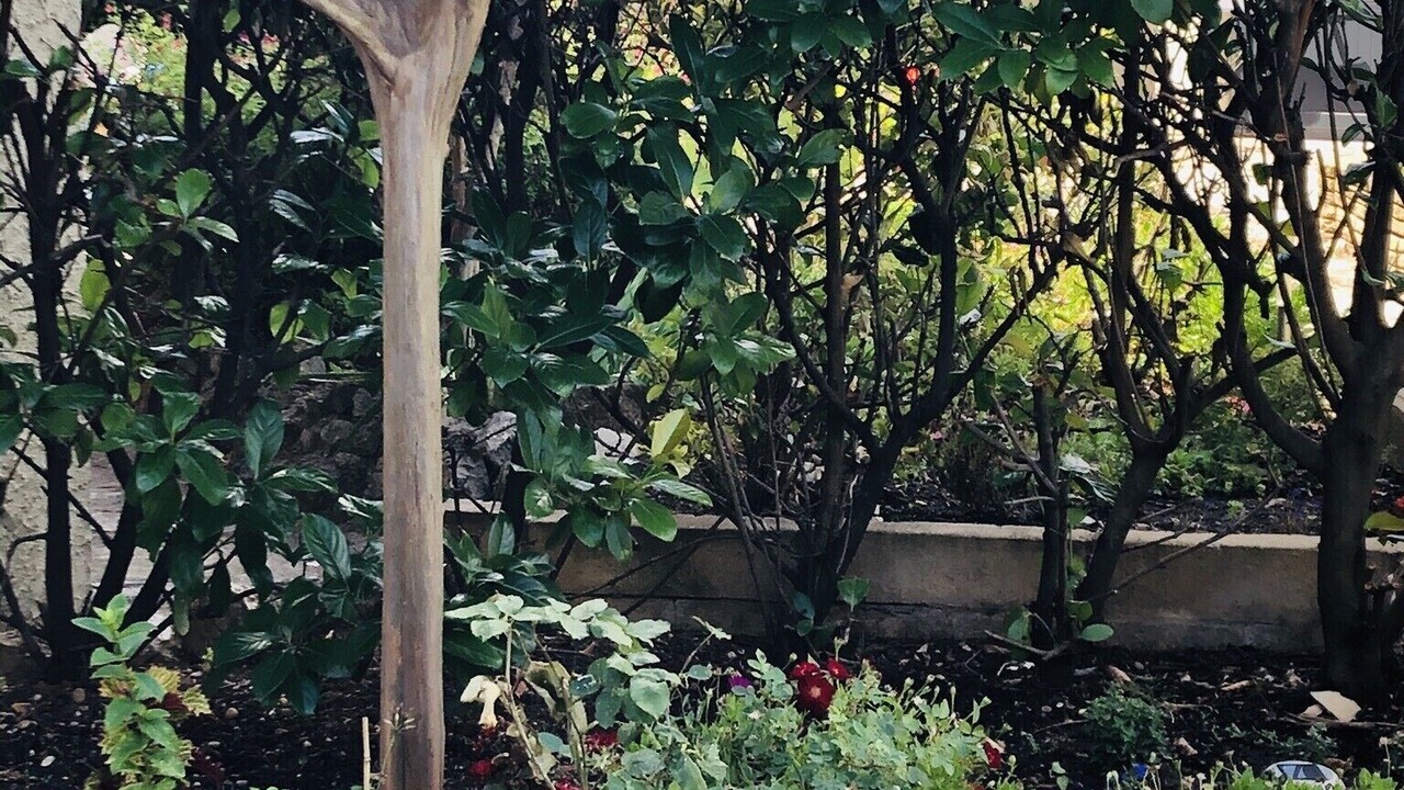 Photo of Outdoor in Saint-Georges-d'Orques