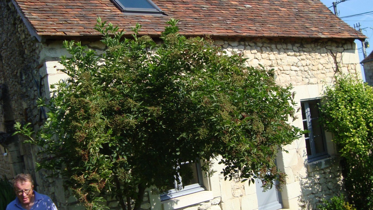 Photo of Outdoor in Le Grand-Pressigny