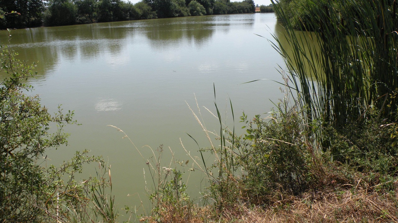 Photo of Outdoor in Montreuil-en-Touraine