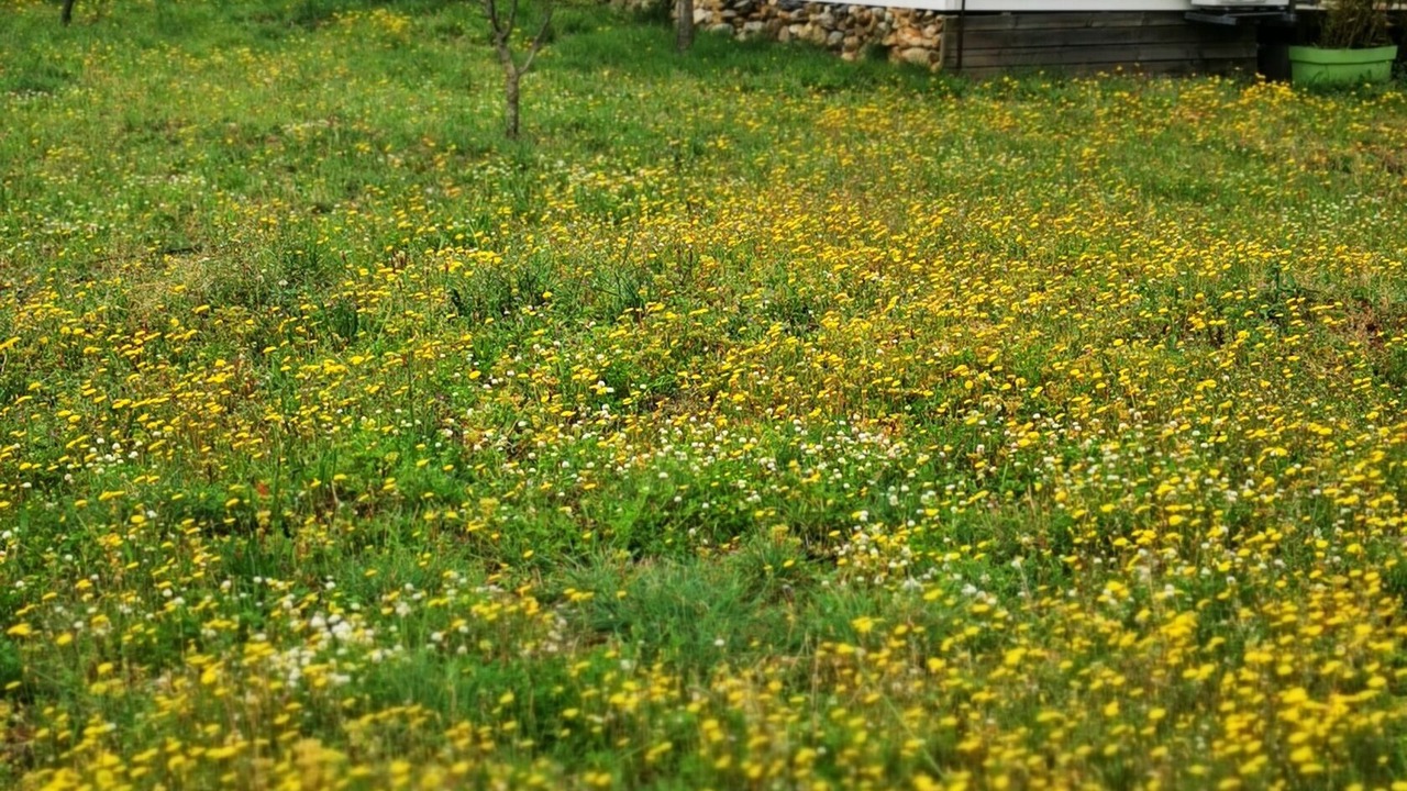 Photo of Outdoor in Villelongue-dels-Monts