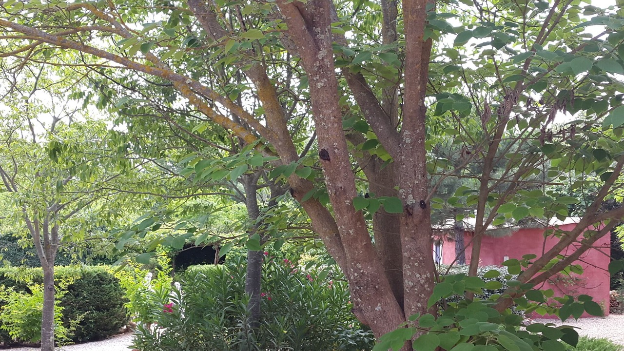 Photo of Outdoor in Le Luc