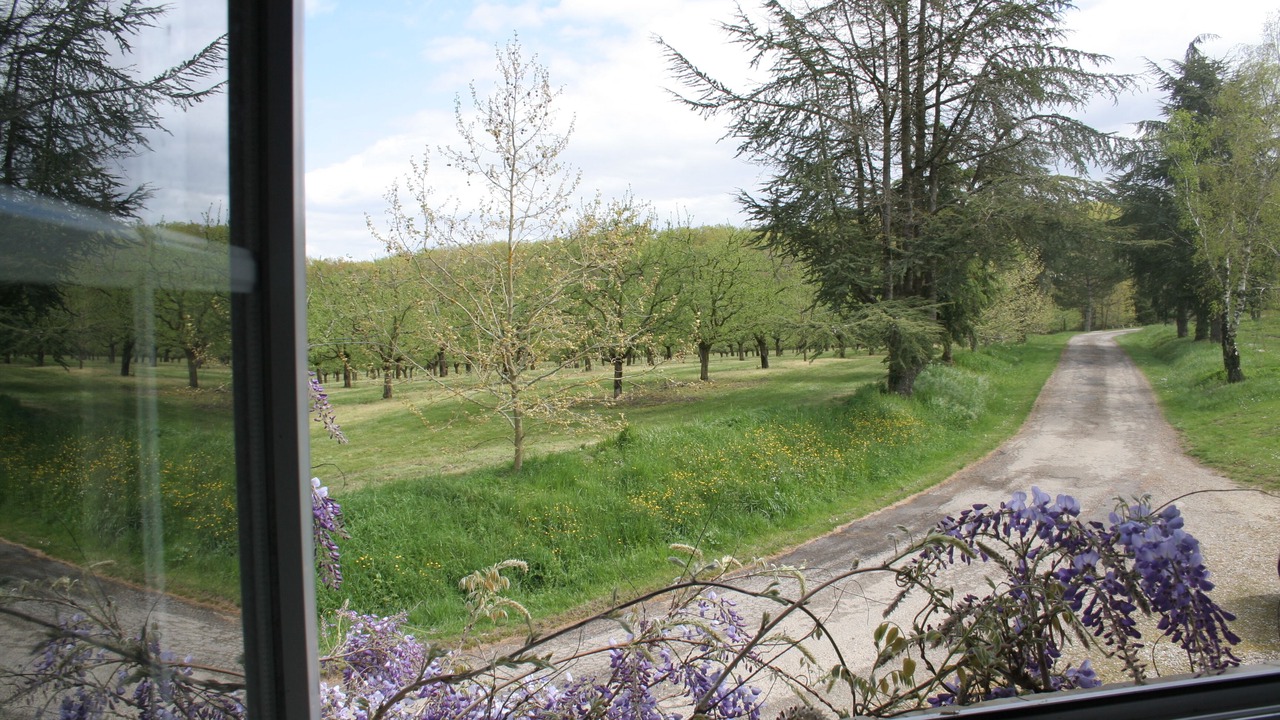 Photo of Others in La Romieu