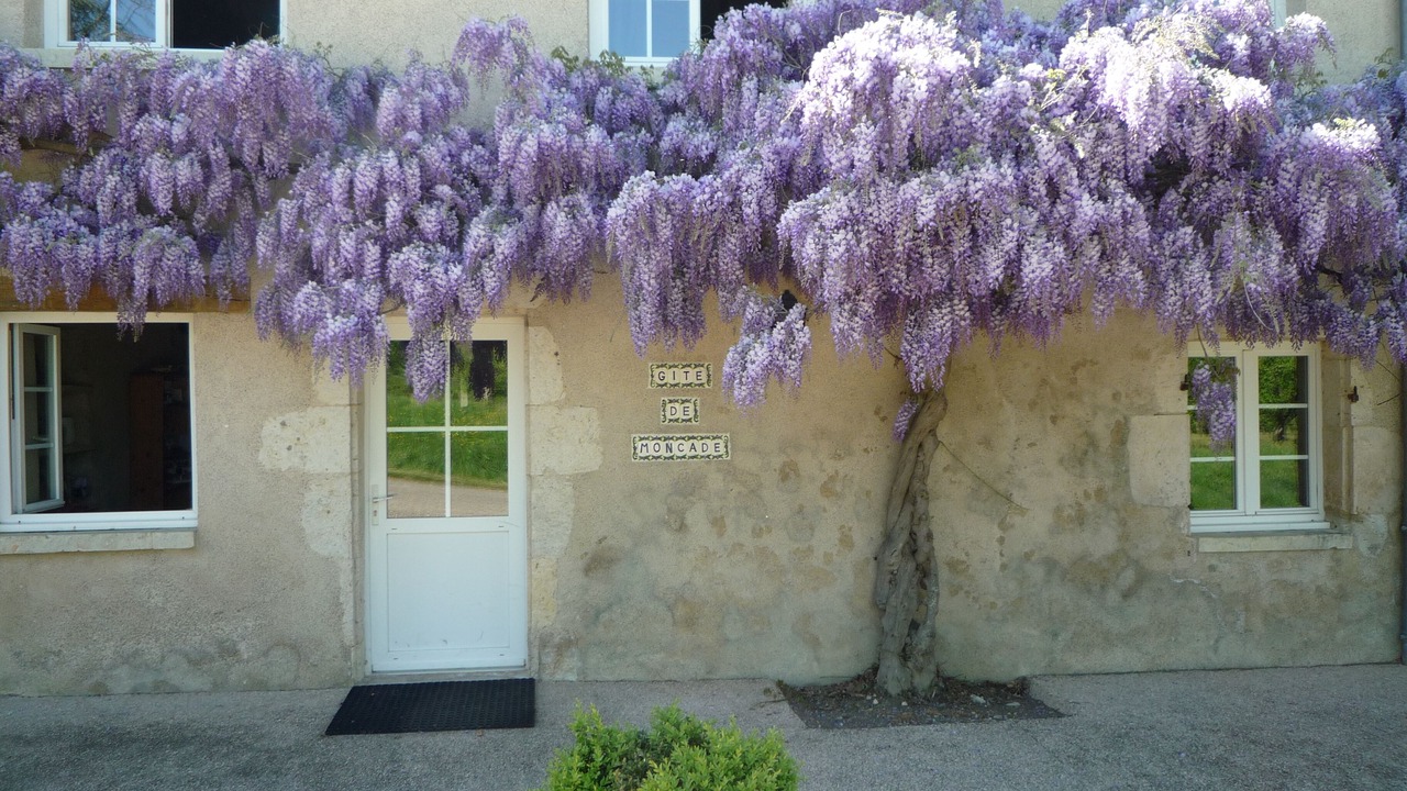 Photo of Outdoor in La Romieu
